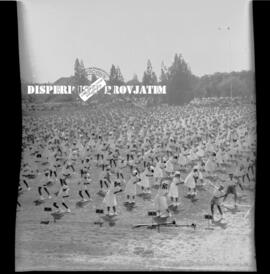 Sebuah pertujukan senam / tarian masal yang dibawakan oleh ribuan perempuan pada acara ulang tahu...