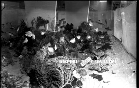 Original Objek Digital not accessible