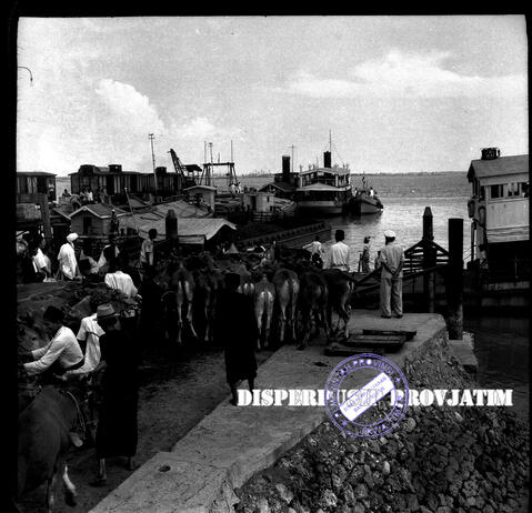 Original Digital object not accessible