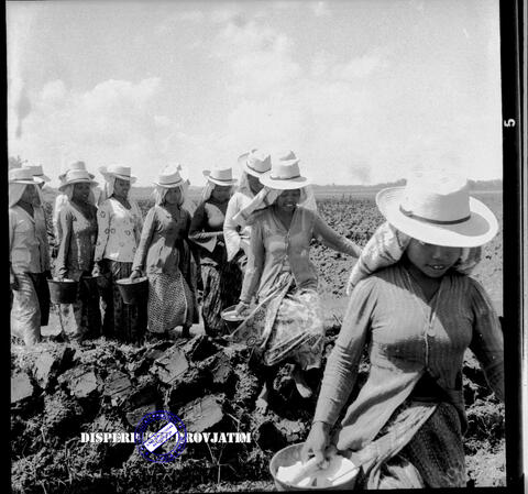 Original Objek Digital not accessible