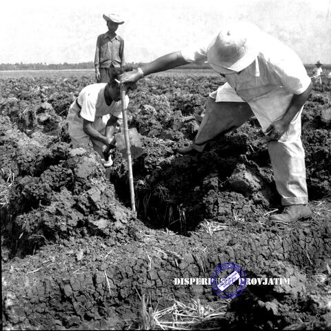 Original Objek Digital not accessible