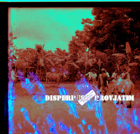 Original Digital object not accessible