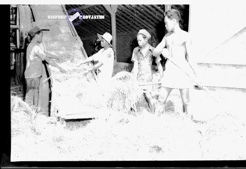 Original Digital object not accessible