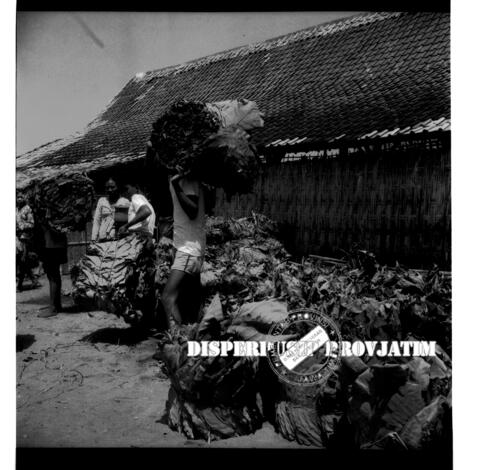 Original Objek Digital not accessible