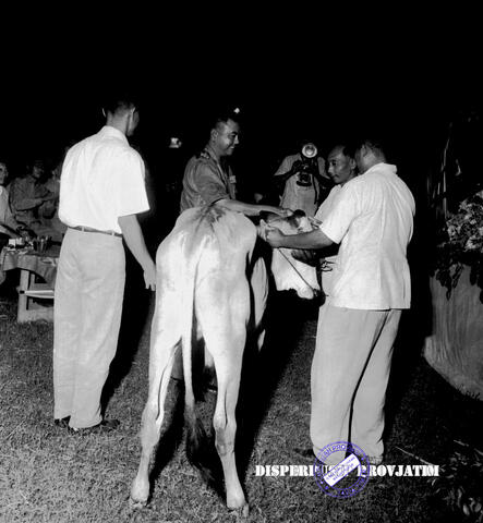 Original Digital object not accessible