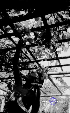 Original Ψηφιακό αντικείμενο not accessible