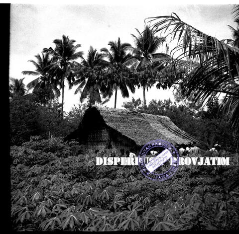 Original Digital object not accessible