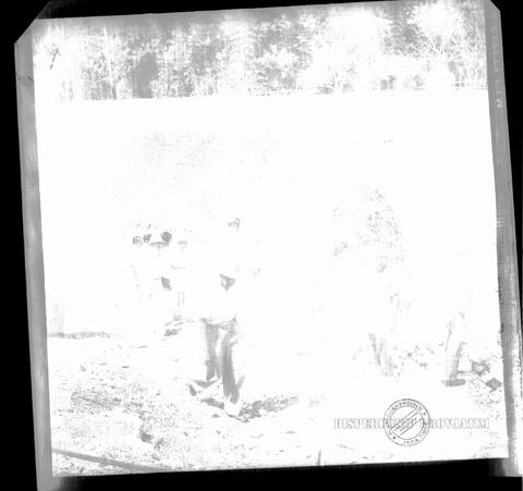 Original Digital object not accessible