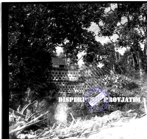 Original Digital object not accessible