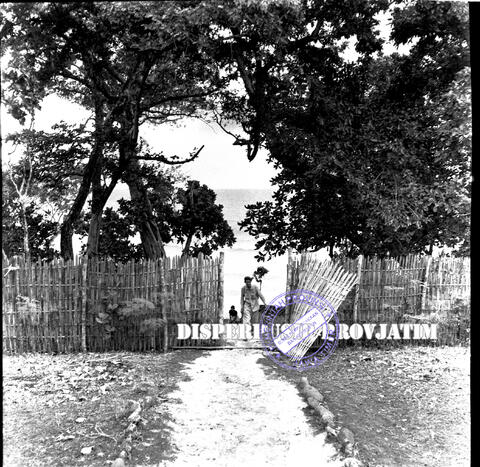 Original Digital object not accessible