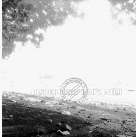 Tiga orang sedang bersantai sambil duduk dipinggir pantai pasir putih situbondo, 1956