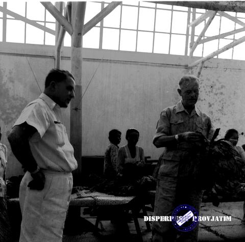 Original Digital object not accessible