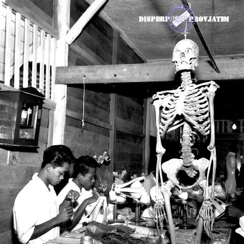 Original Digital object not accessible