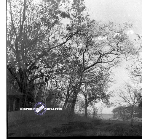 Original Objek Digital not accessible