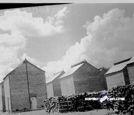 Perkebunan di Bojonegoro, tempat penyimpanan tembakau tgl. 14-11-1957