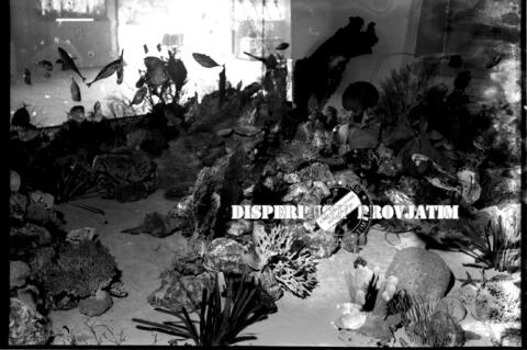 Original Objek Digital not accessible