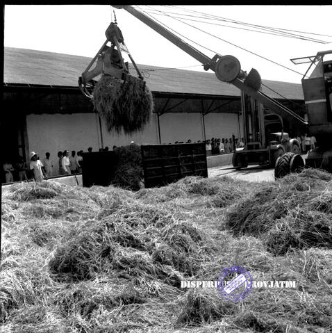 Original Digital object not accessible