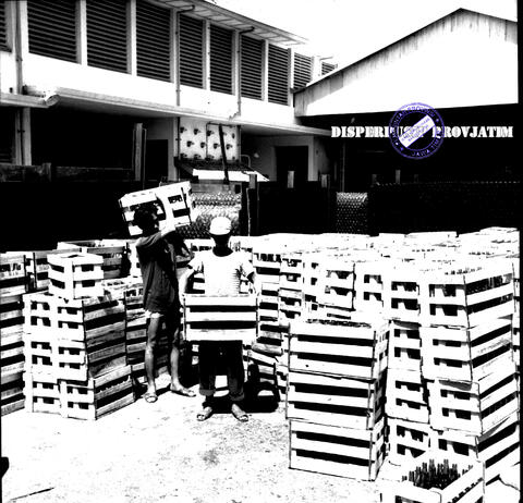 Original Digital object not accessible