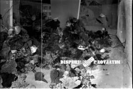 Stand pameran dari Maluku dan Irian Barat berisikan produk hasil kekayaan laut seperti miniatur k...