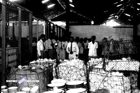 Original Digital object not accessible