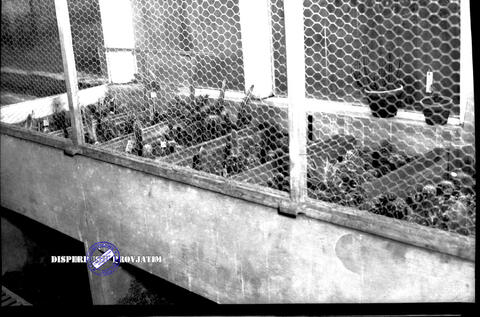 Original Objek Digital not accessible