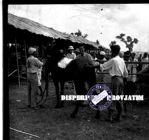 Original Digital object not accessible