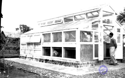 Original Objek Digital not accessible