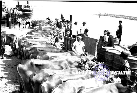 Original Digital object not accessible