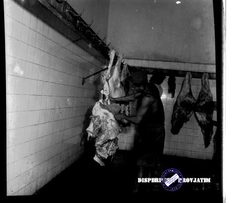 Original Digital object not accessible