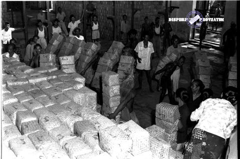 Original Digital object not accessible