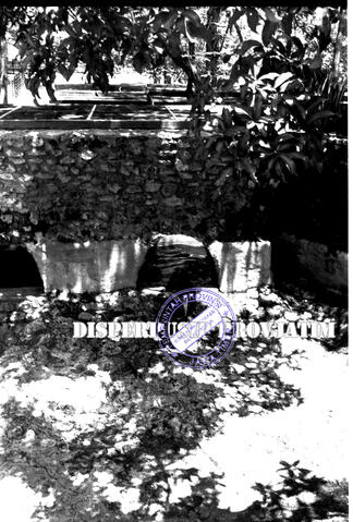 Original Digital object not accessible