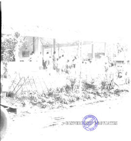 Pembangunan ke Djabung (Tumpang) Malang, tgl. 23 Maret 1957. Warga Djabung sedang berebut dib ala...