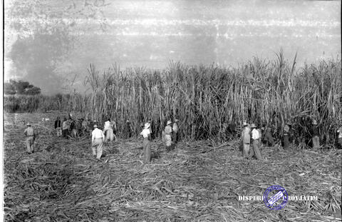 Original Objek Digital not accessible