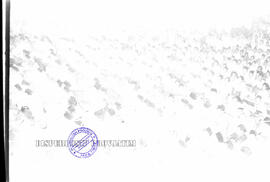 Para santri pondok pesantren tebu ireng Jombang sedang berkumpul dalam sebuah acara, tanggal 13 m...