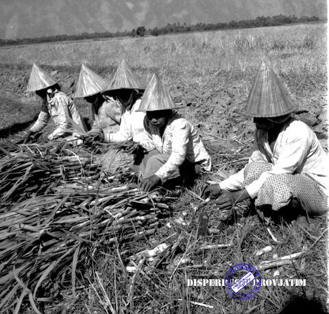 Original Objek Digital not accessible