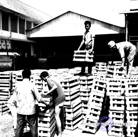 Original Digital object not accessible