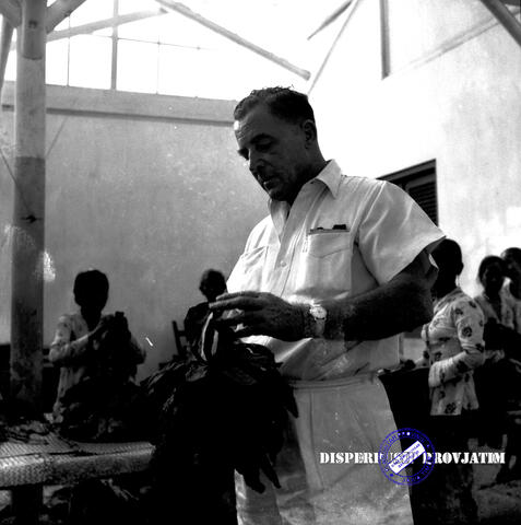 Original Digital object not accessible