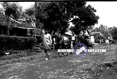 Original Objek Digital not accessible