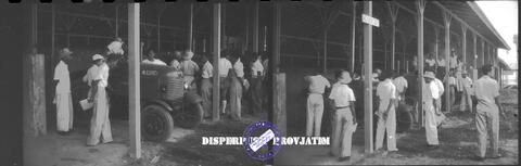 Original Digital object not accessible