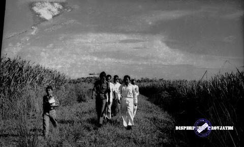 Original Digital object not accessible