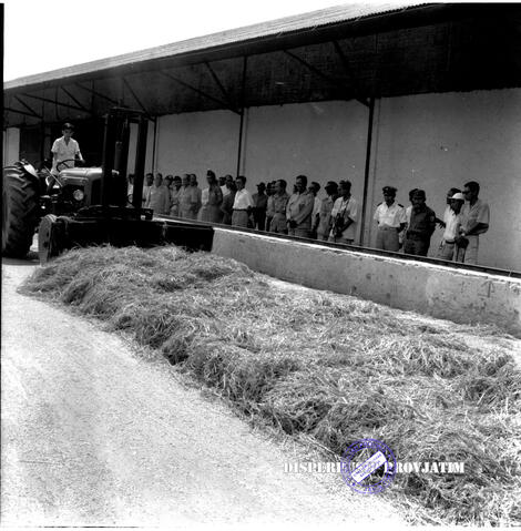 Original Digital object not accessible