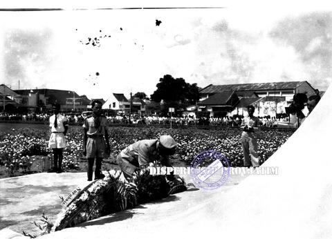 Original Digital object not accessible