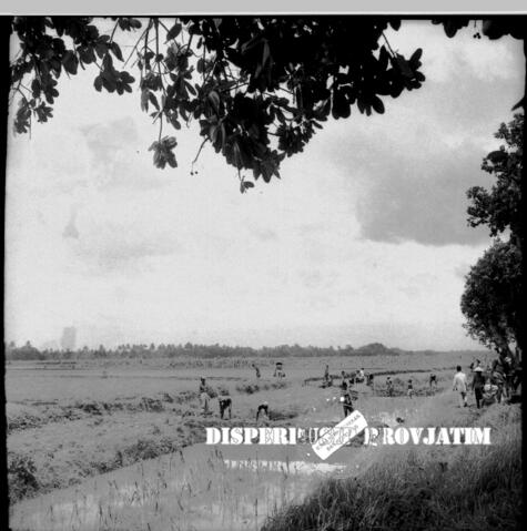 Original Objek Digital not accessible