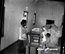 Perkebunan di Bojonegoro, proses merajang tembakau, tgl. 14-11-1957