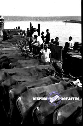 Original Digital object not accessible