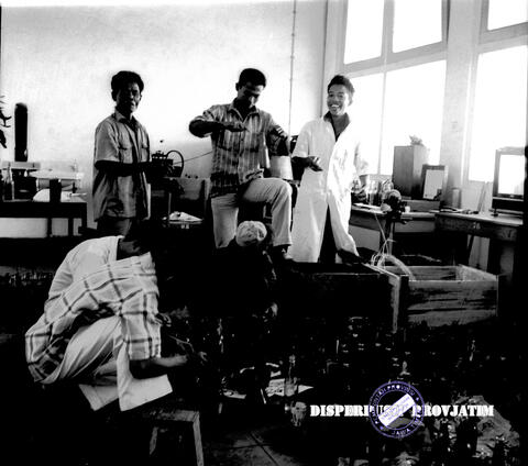 Original Digital object not accessible