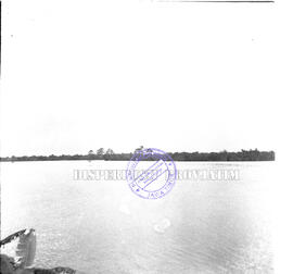 Tambak dan sawah penduduk yang terendam dalam banjir Porong, 12 – 2 – 1959