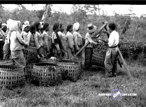 Original Objek Digital not accessible