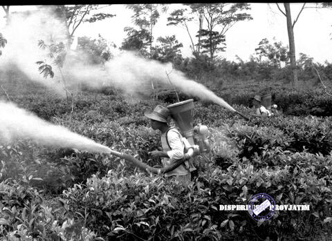 Original Objek Digital not accessible