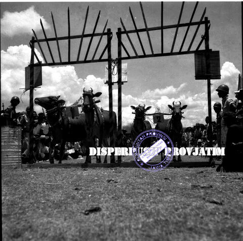 Original Objek Digital not accessible